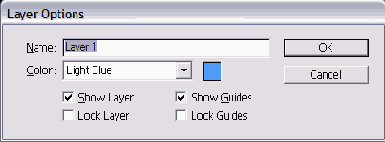   Layer Options