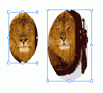  Transform Content 