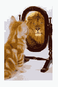    Fit Frame to Content